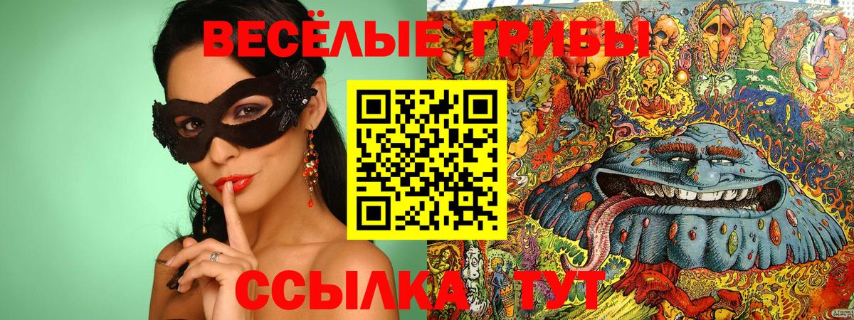 Галлюциногенные грибы Cubensis  Вход с VPN  Псилоцибиновые грибы прущие грибы  Усть-Джегута 