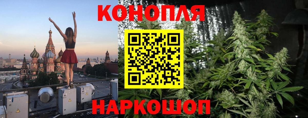 МАРИХУАНА ГИДРОПОН Усть-Джегута